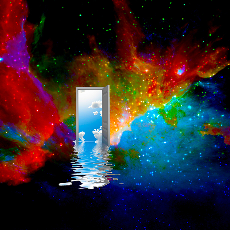 Stepping Into My Purpose: An Unexpected Path